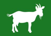 Indian Goat Breeds