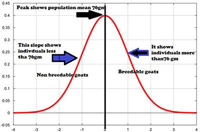 population genetics