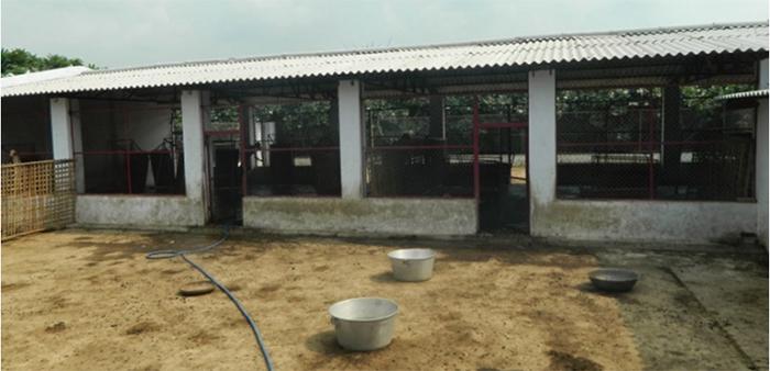 Goat Farm Designs considerations and Space Requirements of goats in Indian Conditions